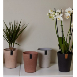 Tokyo orkide potte, Rustic Brown