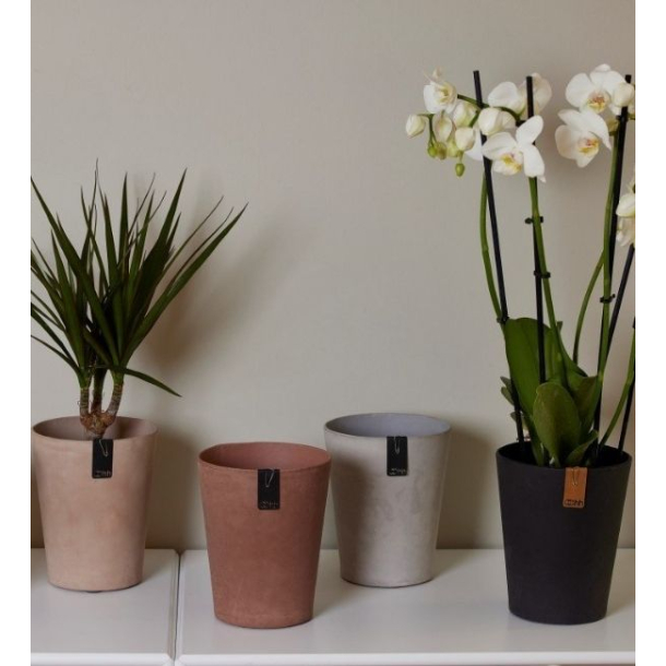 Tokyo orkide potte, Rustic Brown