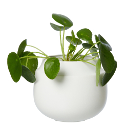 AYA pot/vase, sand finish, White