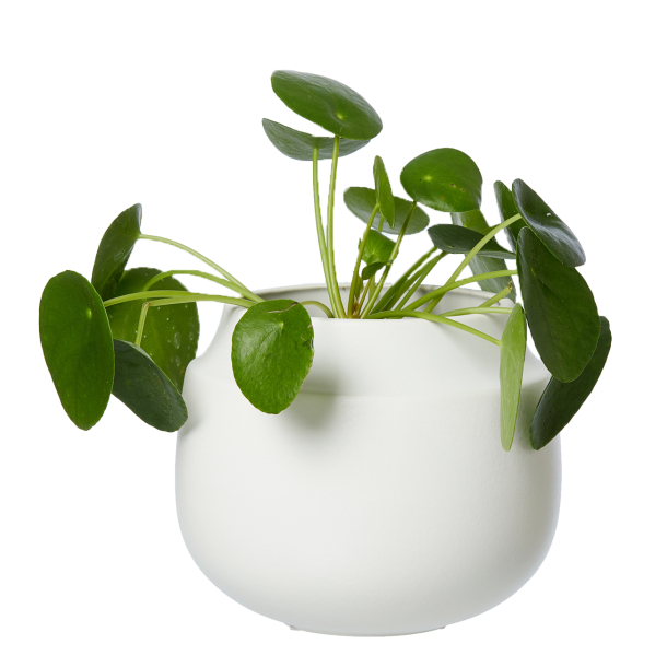 AYA pot/vase, sand finish, White