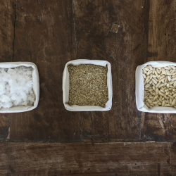 Lollie Tray Small, Black