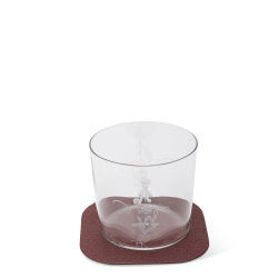 La Paper Coaster, Uva