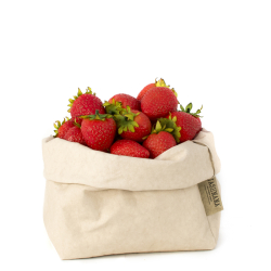 Washable Paper Bag, Cachemire