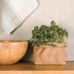 Washable Paper Bag, Forest